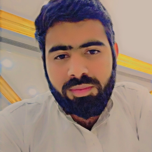 Hamza S. profile photo