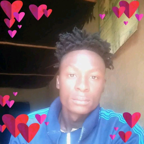 Sylvester  m. profile photo