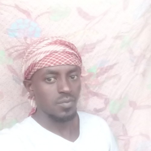 Sultan k.