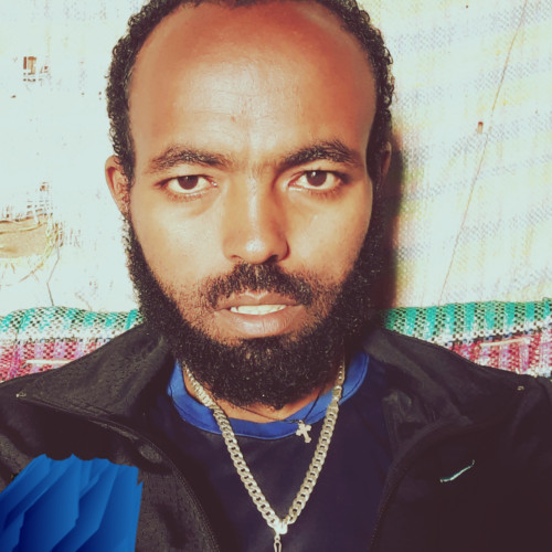 Tsegaye W. profile photo