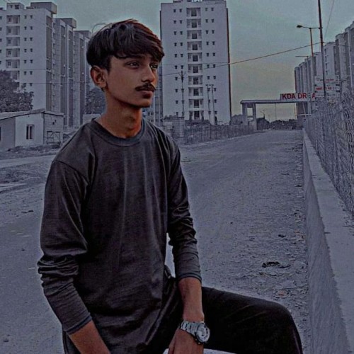 Mayank  S.