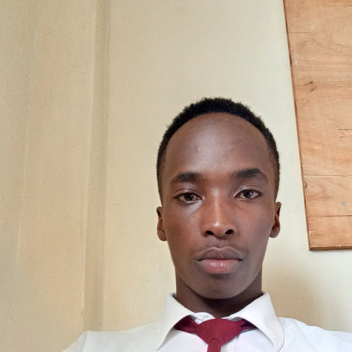 Martin M. profile photo