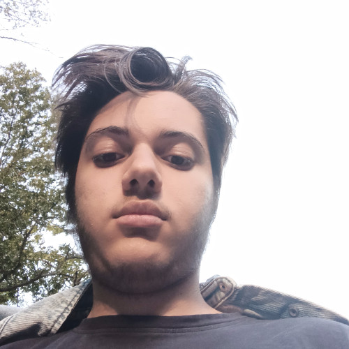 YAVOR N. profile photo