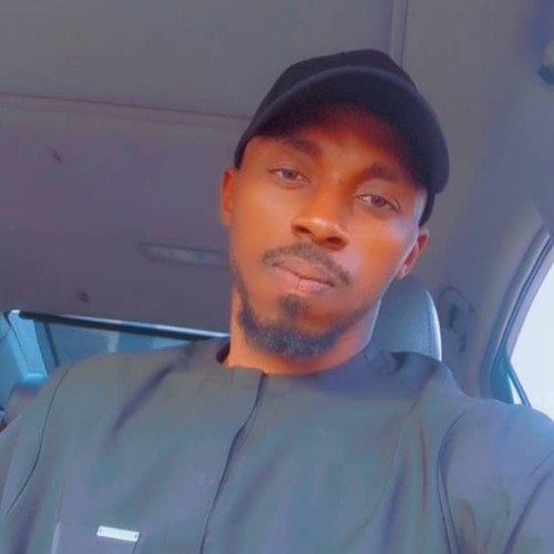onyemaechi n. profile photo
