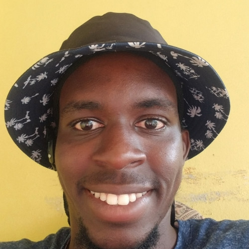 Steven P. profile photo
