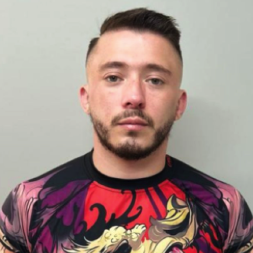 JD C. profile photo