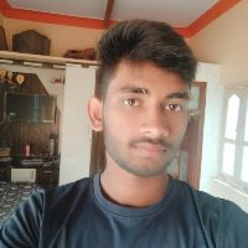 Harish  N. profile photo