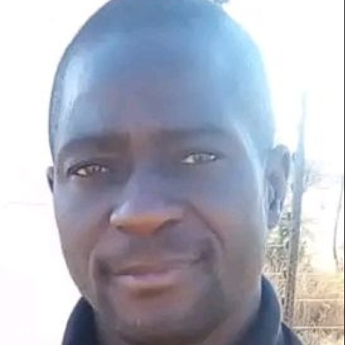 Wedzerayi M.