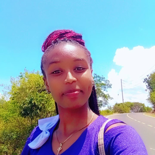 Valerian  T. profile photo