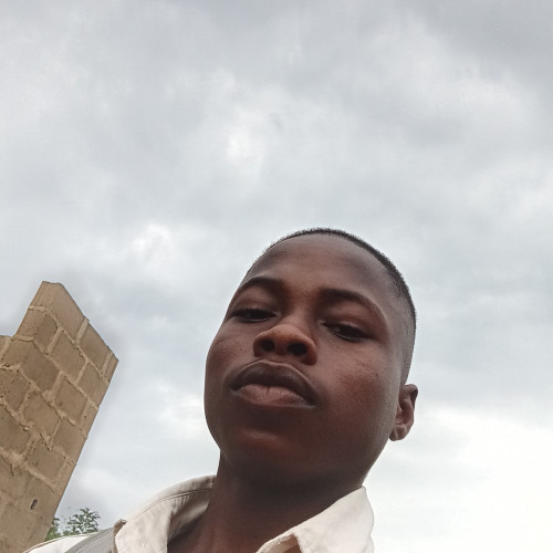 Shoyemi  D. profile photo