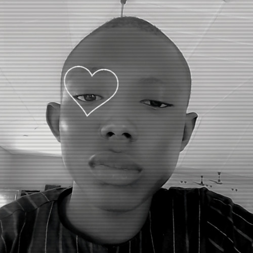 Adegoke B. profile photo