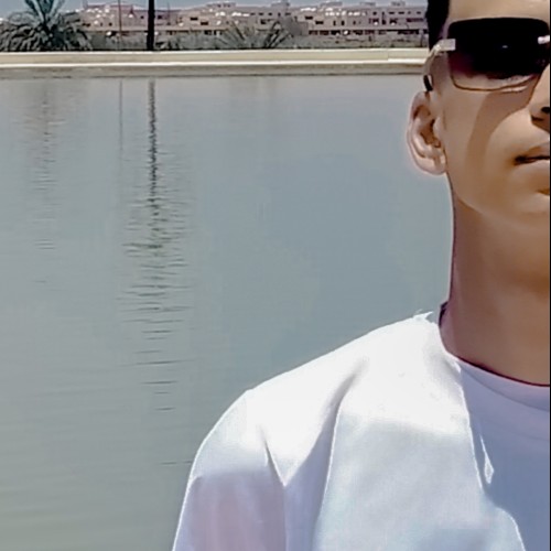 Nourdin  S.