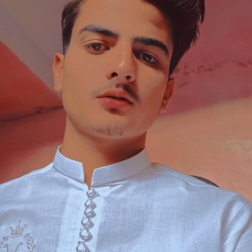 Ali H.