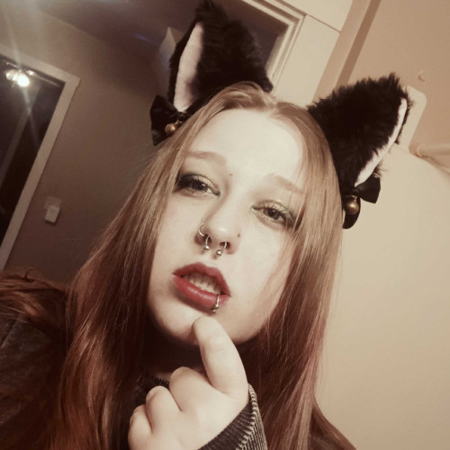 alice d. profile photo