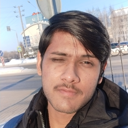 Shobhit  D. profile photo