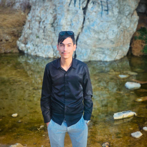 ali h. profile photo