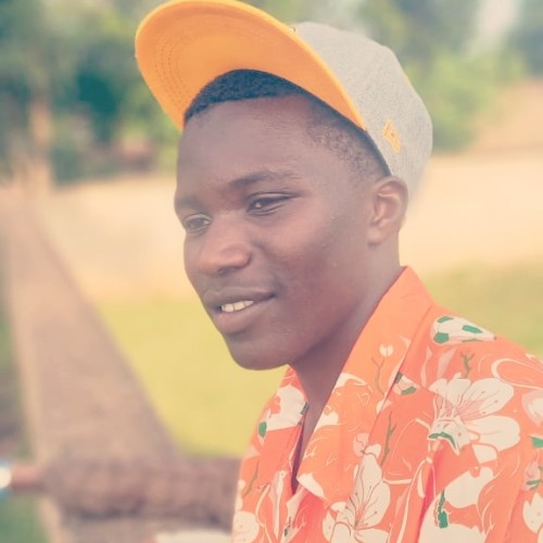 Ibrahim  N. profile photo