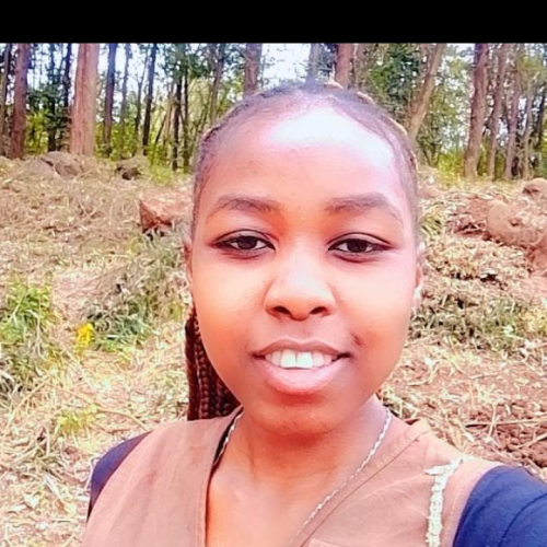 Tabby N. profile photo