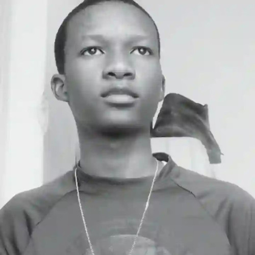 Vinny B. profile photo