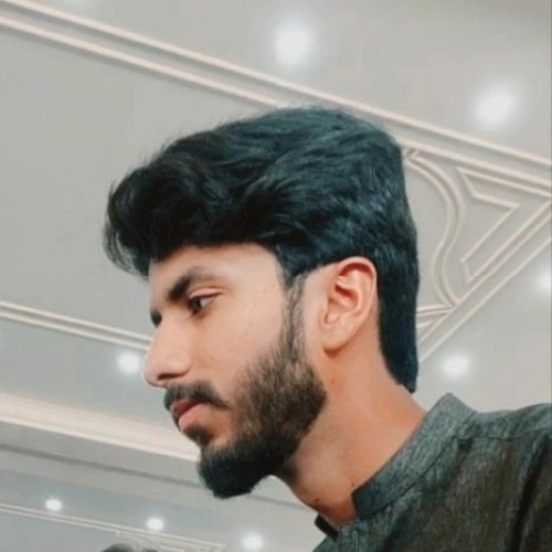 Hassan A. profile photo