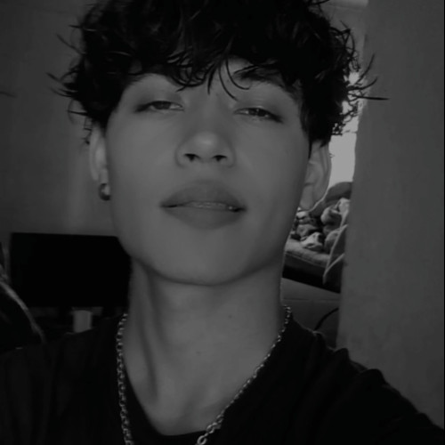 Daniel N. profile photo