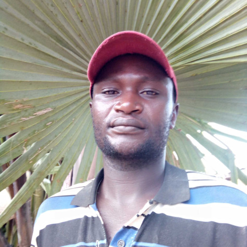 Daniel K. profile photo