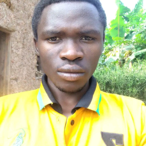 IRAHARI  M. profile photo