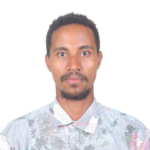 Manaye Tesfaye A. profile photo