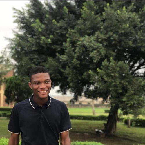 Nnaemezie O. profile photo