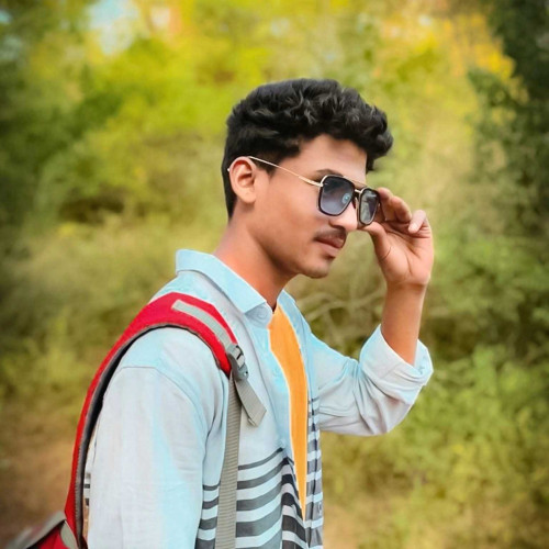 shaik v.