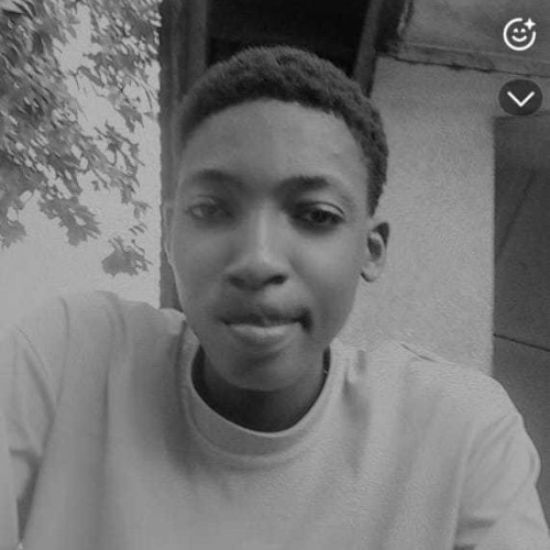 Damian N. profile photo