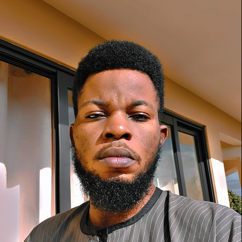 Eludoyin A. profile photo