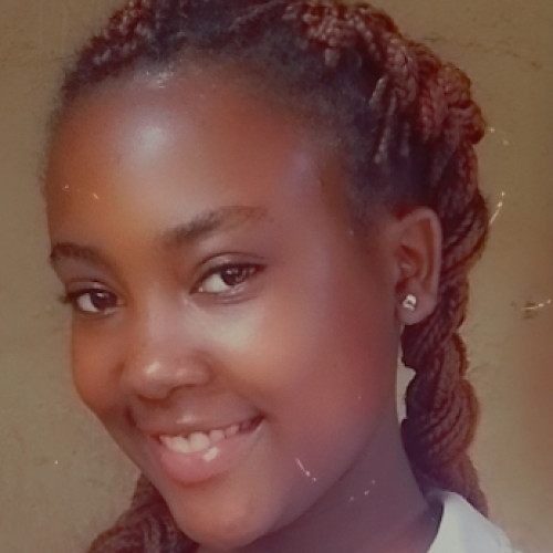 Amra M. profile photo