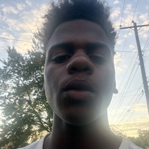 Alex d. profile photo