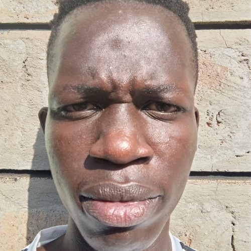 Dalton O. profile photo