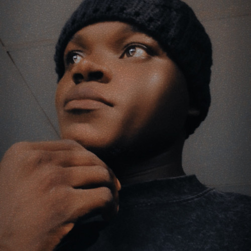 Olatomi  A. profile photo