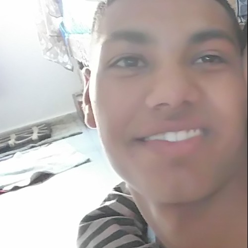 Reda N.