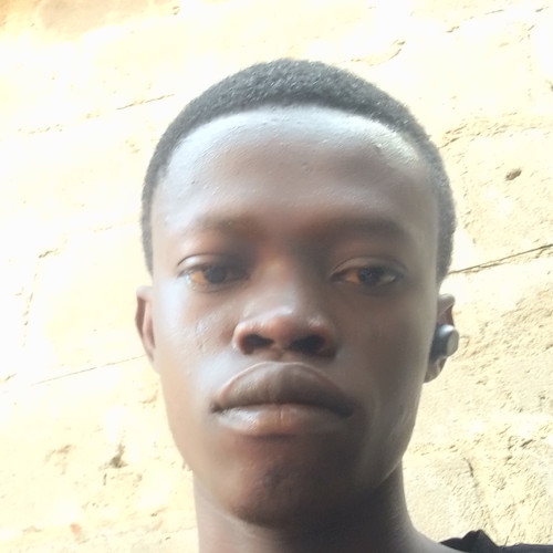 Ebioyenikan  S. profile photo