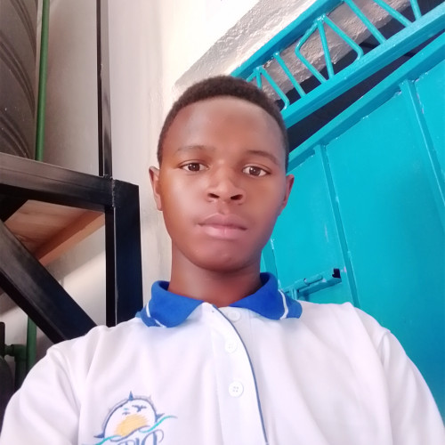 Patric N. profile photo