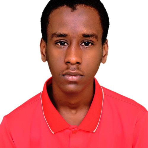 Aliyu N. profile photo