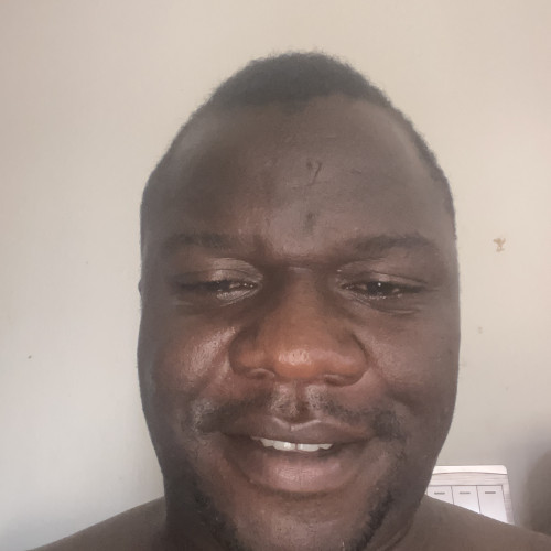 Paul P. profile photo