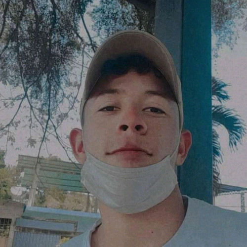 Alexander  H. profile photo