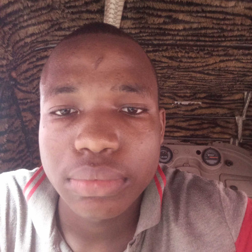 Daniel N. profile photo