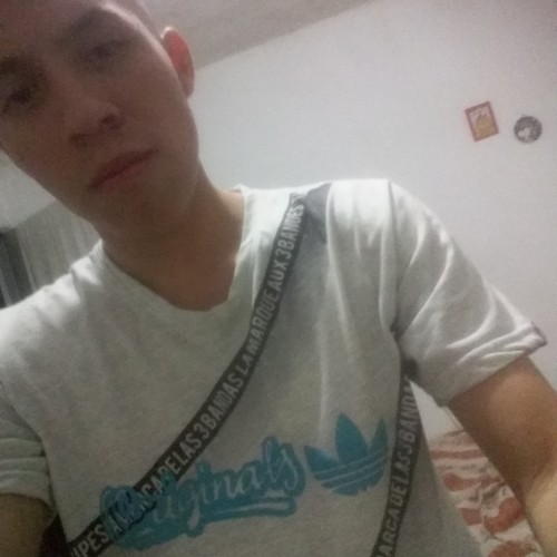 Leonardo r.