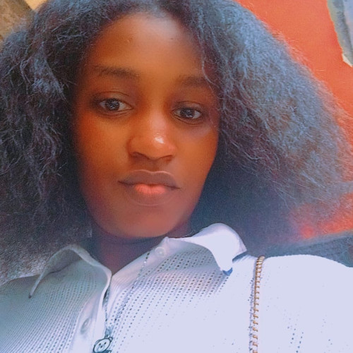 Banis N. profile photo
