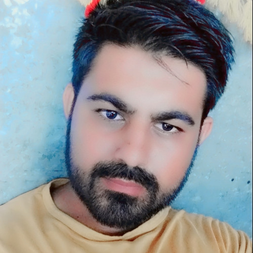 Ali  S. profile photo