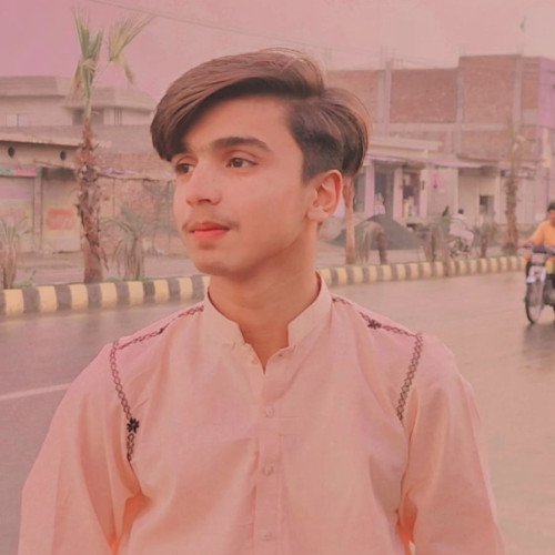 Hafeez s. profile photo