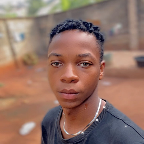 Chibuike A. profile photo