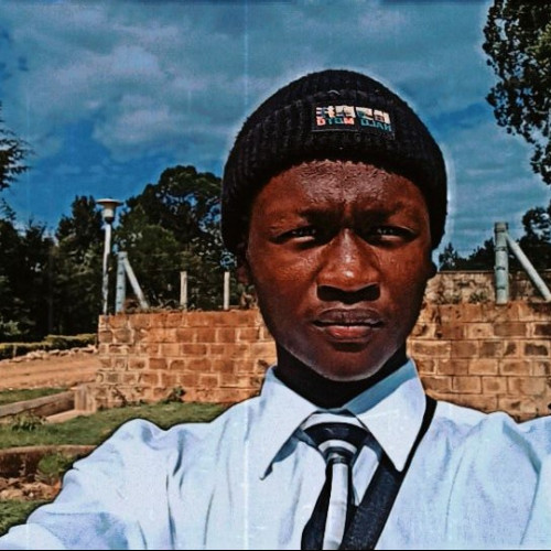 Brivine k. profile photo