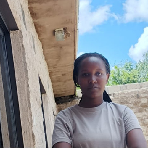 Ann N. profile photo